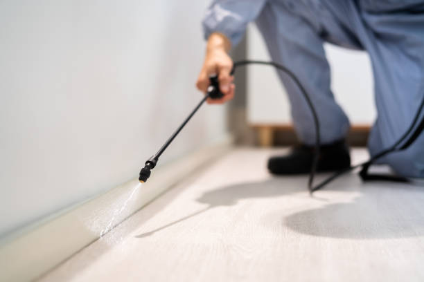 Licensed Fumigation Services service in Bonnetsville, NC - Nex Pest Control
