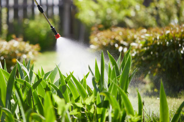 24/7 Emergency Fumigation Services experts in Bonnetsville, NC