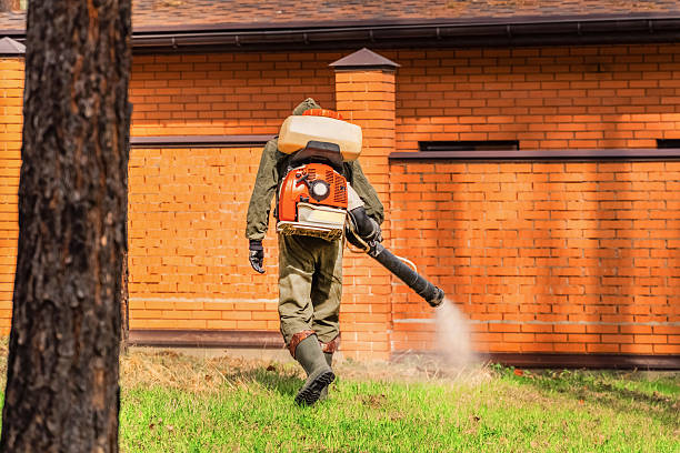 Trusted Cockroach Control service in Bonnetsville, NC - Nex Pest Control